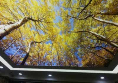 Gergi Tavan, Gergi Tavan Modelleri Baskılı Gergi Tavan 7