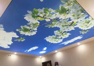 Gergi Tavan, Gergi Tavan Modelleri Baskılı Gergi Tavan 8