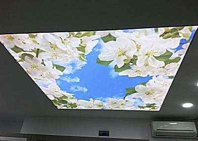 Gergi Tavan, Gergi Tavan Modelleri Baskılı Gergi Tavan 191