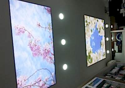 Gergi Tavan, Gergi Tavan Modelleri Baskılı Gergi Tavan 206