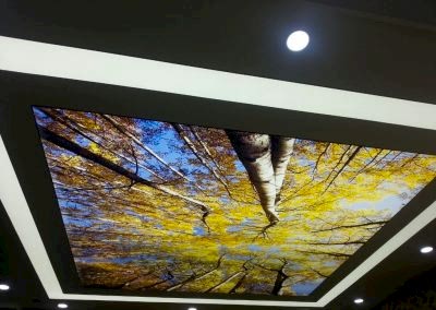 Gergi Tavan, Gergi Tavan Modelleri Baskılı Gergi Tavan 29