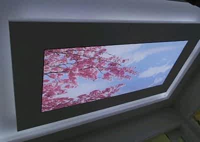 Gergi Tavan, Gergi Tavan Modelleri Baskılı Gergi Tavan 44