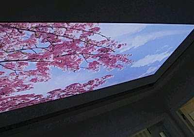 Gergi Tavan, Gergi Tavan Modelleri Baskılı Gergi Tavan 49