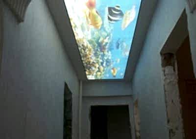 Gergi Tavan, Gergi Tavan Modelleri Baskılı Gergi Tavan 50