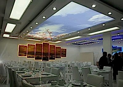 Gergi Tavan, Gergi Tavan Modelleri Baskılı Gergi Tavan 57