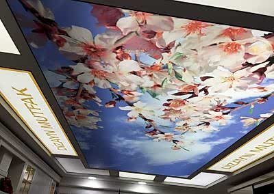 Gergi Tavan, Gergi Tavan Modelleri Baskılı Gergi Tavan 58