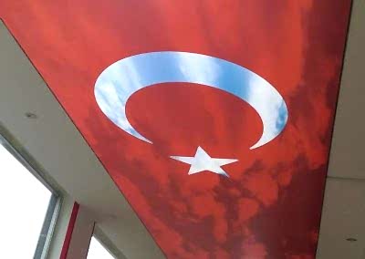 Gergi Tavan, Gergi Tavan Modelleri Baskılı Gergi Tavan 61