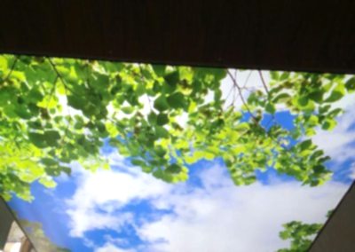 Gergi Tavan, Gergi Tavan Modelleri Baskılı Gergi Tavan 62