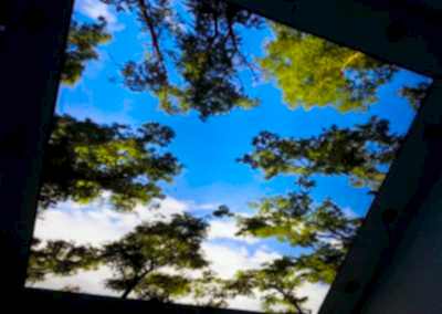 Gergi Tavan, Gergi Tavan Modelleri Baskılı Gergi Tavan 275