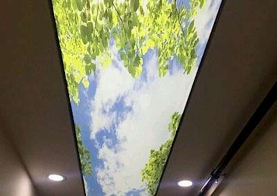 Gergi Tavan, Gergi Tavan Modelleri Baskılı Gergi Tavan 105