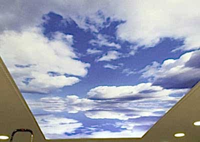 Gergi Tavan, Gergi Tavan Modelleri Baskılı Gergi Tavan 111