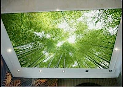 Gergi Tavan, Gergi Tavan Modelleri Baskılı Gergi Tavan 114