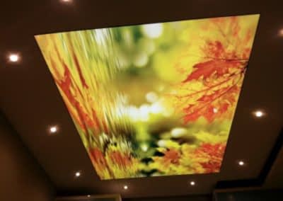 Gergi Tavan, Gergi Tavan Modelleri Baskılı Gergi Tavan 304