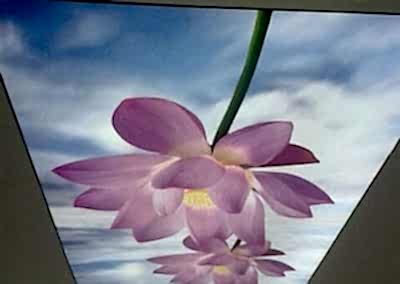 Gergi Tavan, Gergi Tavan Modelleri Baskılı Gergi Tavan 138