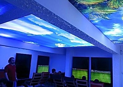 Gergi Tavan, Gergi Tavan Modelleri Baskılı Gergi Tavan 144