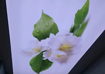 Gergi Tavan, Gergi Tavan Modelleri Baskılı Gergi Tavan 157