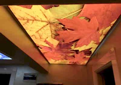 Gergi Tavan, Gergi Tavan Modelleri Baskılı Gergi Tavan 165