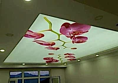 Gergi Tavan, Gergi Tavan Modelleri Baskılı Gergi Tavan 167