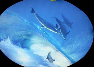 Gergi Tavan, Gergi Tavan Modelleri Baskılı Gergi Tavan 324