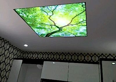 Gergi Tavan, Gergi Tavan Modelleri Baskılı Gergi Tavan 180