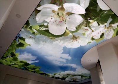 Gergi Tavan, Gergi Tavan Modelleri Baskılı Gergi Tavan 182