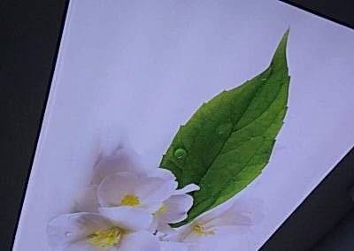 Gergi Tavan, Gergi Tavan Modelleri Baskılı Gergi Tavan 193