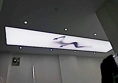 Gergi Tavan, Gergi Tavan Modelleri Baskılı Gergi Tavan 195