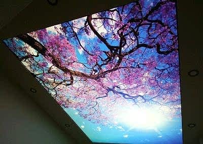 Gergi Tavan, Gergi Tavan Modelleri Baskılı Gergi Tavan 197