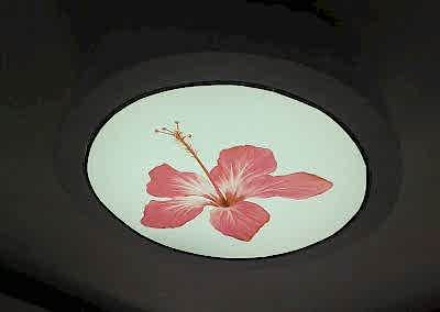 Gergi Tavan, Gergi Tavan Modelleri Baskılı Gergi Tavan 2