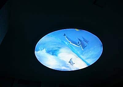 Gergi Tavan, Gergi Tavan Modelleri Baskılı Gergi Tavan 331