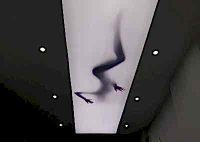 Gergi Tavan, Gergi Tavan Modelleri Baskılı Gergi Tavan 214