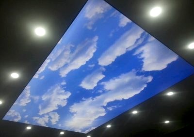 Gergi Tavan, Gergi Tavan Modelleri Baskılı Gergi Tavan 223