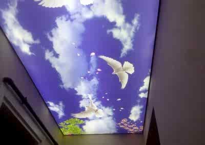 Gergi Tavan, Gergi Tavan Modelleri Baskılı Gergi Tavan 243