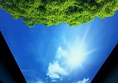 Gergi Tavan, Gergi Tavan Modelleri Baskılı Gergi Tavan 245