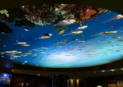 Gergi Tavan, Gergi Tavan Modelleri Baskılı Gergi Tavan 263