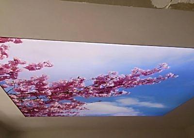 Gergi Tavan, Gergi Tavan Modelleri Baskılı Gergi Tavan 269