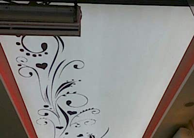 Gergi Tavan, Gergi Tavan Modelleri Baskılı Gergi Tavan 270