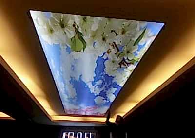 Gergi Tavan, Gergi Tavan Modelleri Baskılı Gergi Tavan 279