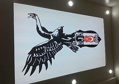 Gergi Tavan, Gergi Tavan Modelleri Baskılı Gergi Tavan 354