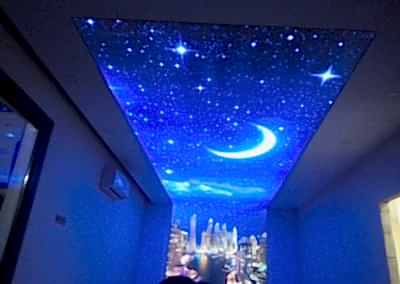 Gergi Tavan, Gergi Tavan Modelleri Baskılı Gergi Tavan 281