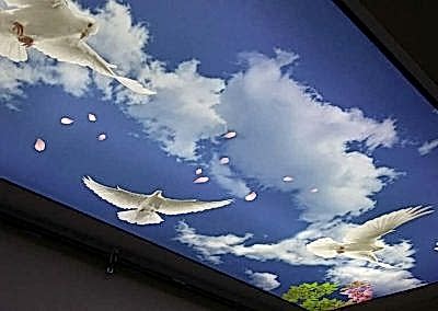 Gergi Tavan, Gergi Tavan Modelleri Baskılı Gergi Tavan 285