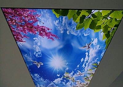 Gergi Tavan, Gergi Tavan Modelleri Baskılı Gergi Tavan 287