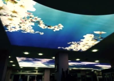 Gergi Tavan, Gergi Tavan Modelleri Baskılı Gergi Tavan 295