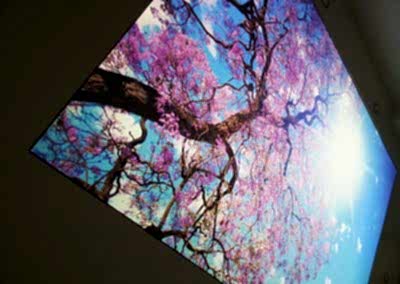 Gergi Tavan, Gergi Tavan Modelleri Baskılı Gergi Tavan 361