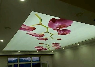 Gergi Tavan, Gergi Tavan Modelleri Baskılı Gergi Tavan 303