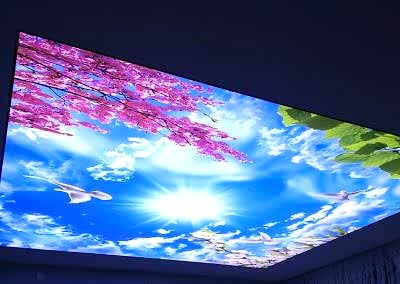 Gergi Tavan, Gergi Tavan Modelleri Baskılı Gergi Tavan 310