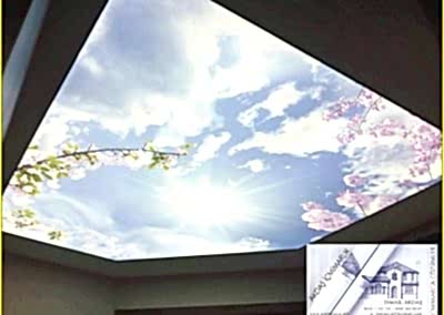 Gergi Tavan, Gergi Tavan Modelleri Baskılı Gergi Tavan 317