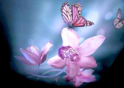 Gergi Tavan, Gergi Tavan Modelleri Baskılı Gergi Tavan 319