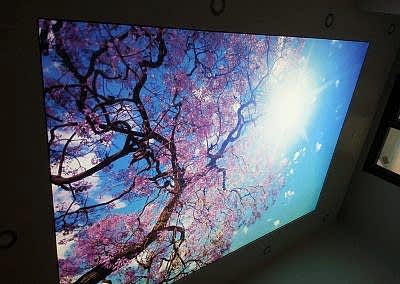 Gergi Tavan, Gergi Tavan Modelleri Baskılı Gergi Tavan 367