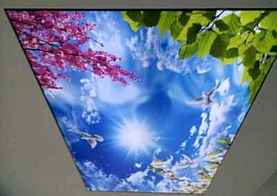 Gergi Tavan, Gergi Tavan Modelleri Baskılı Gergi Tavan 330